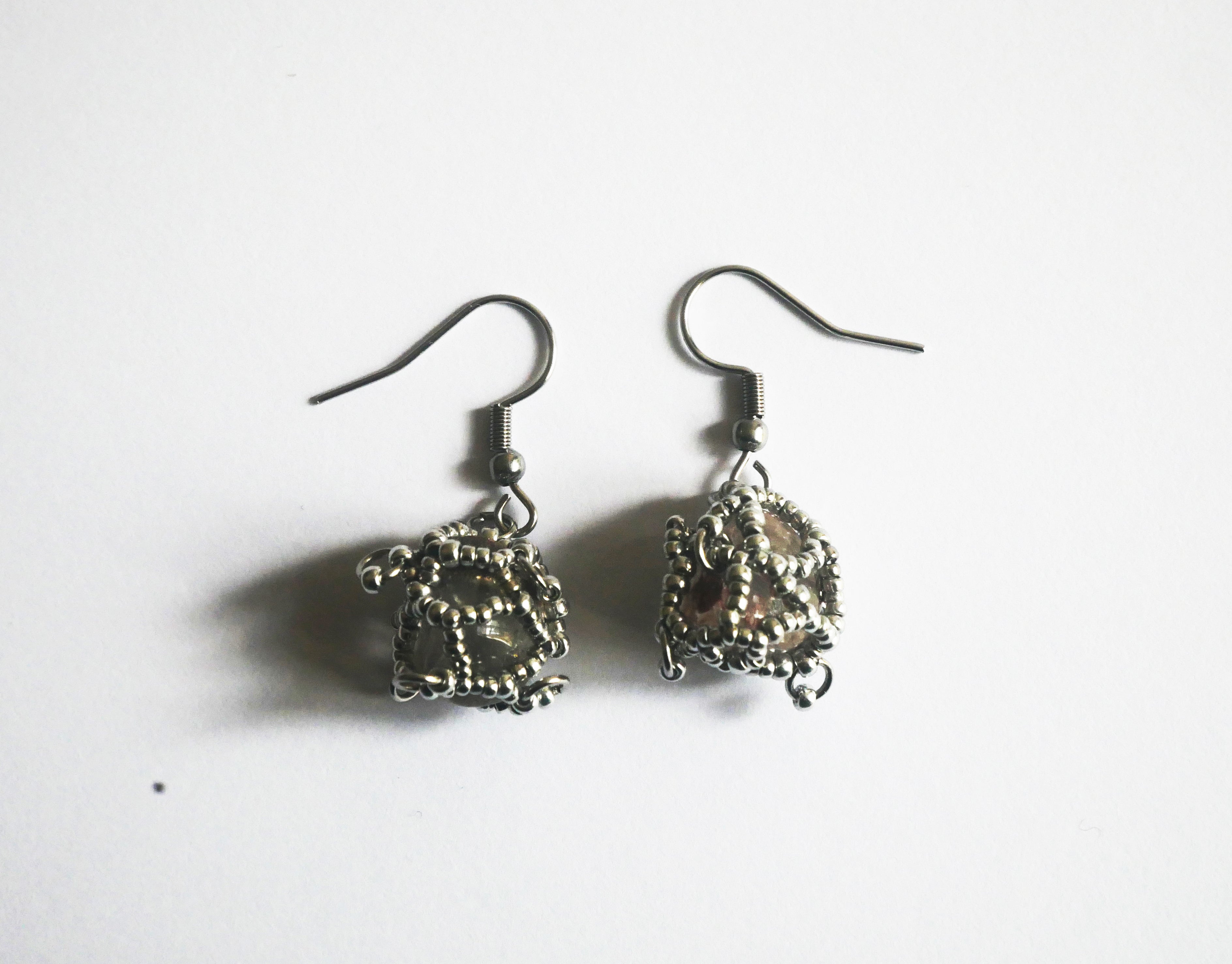 Circogonia à anneaux