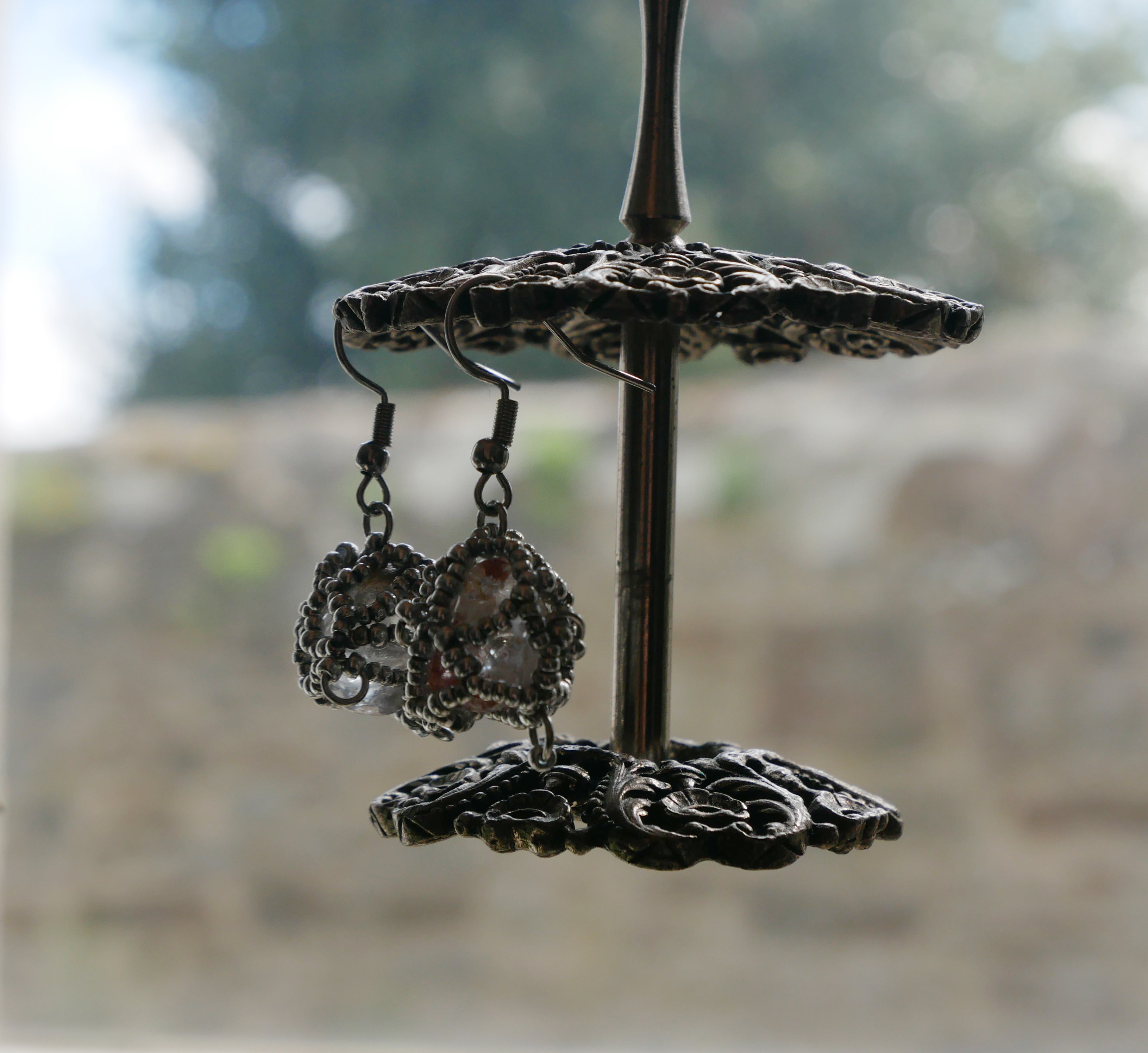 Circogonia à anneaux