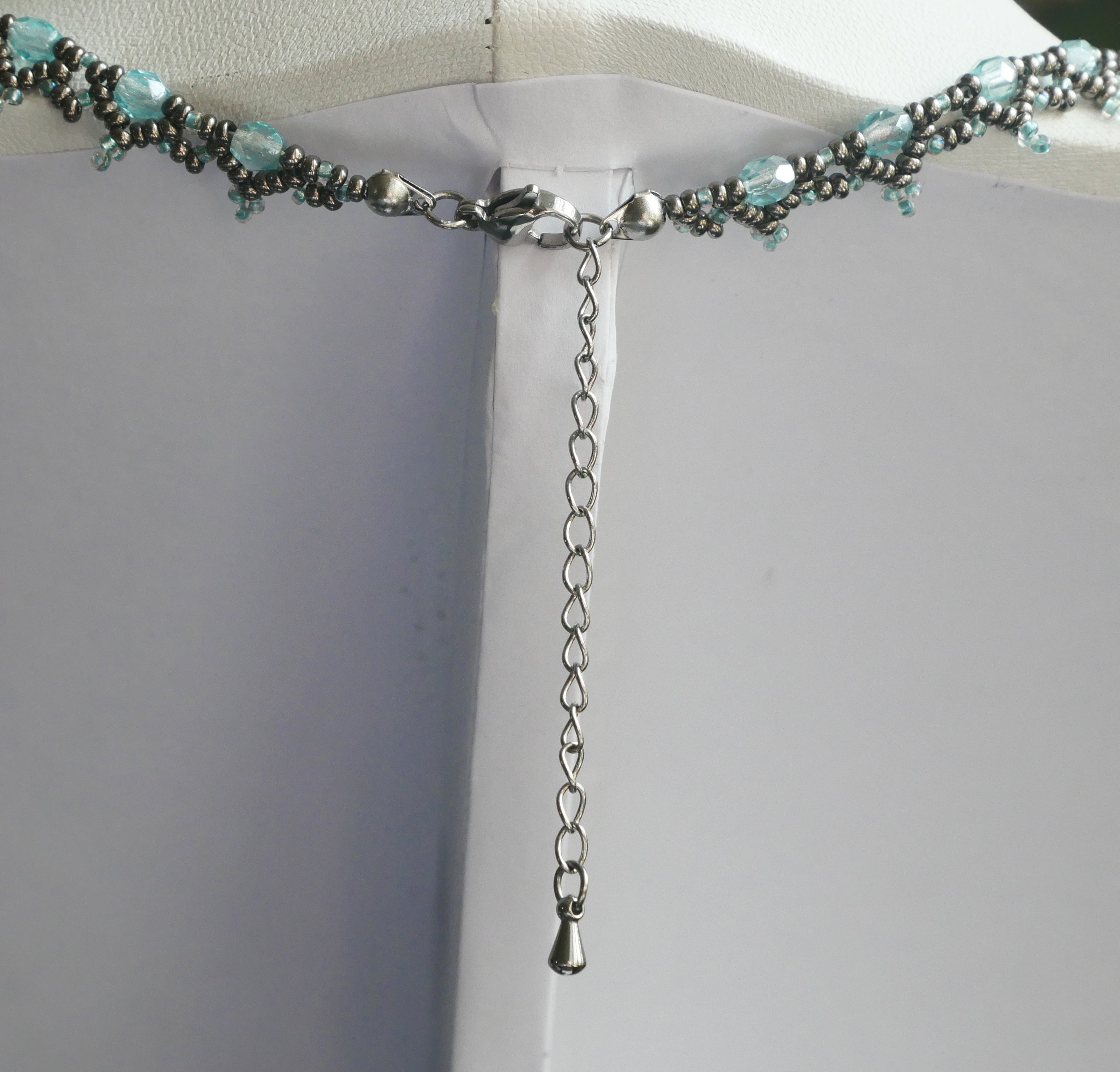 Epibulia spécimen n°2