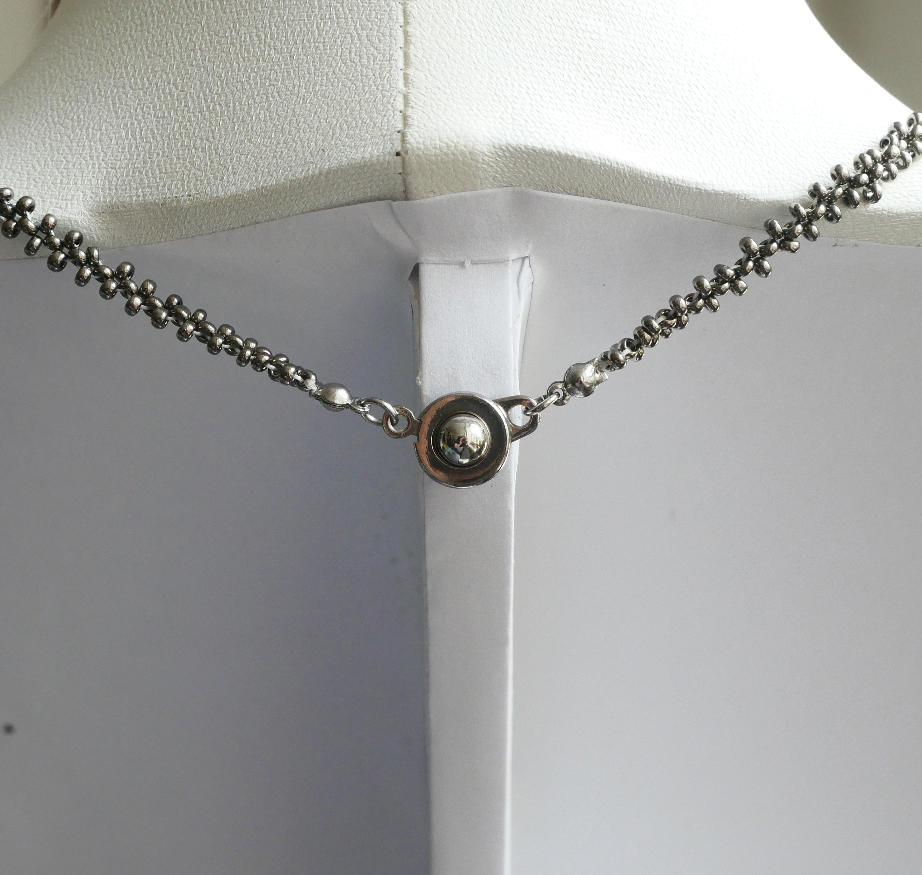 Leptospire spécimen n°1