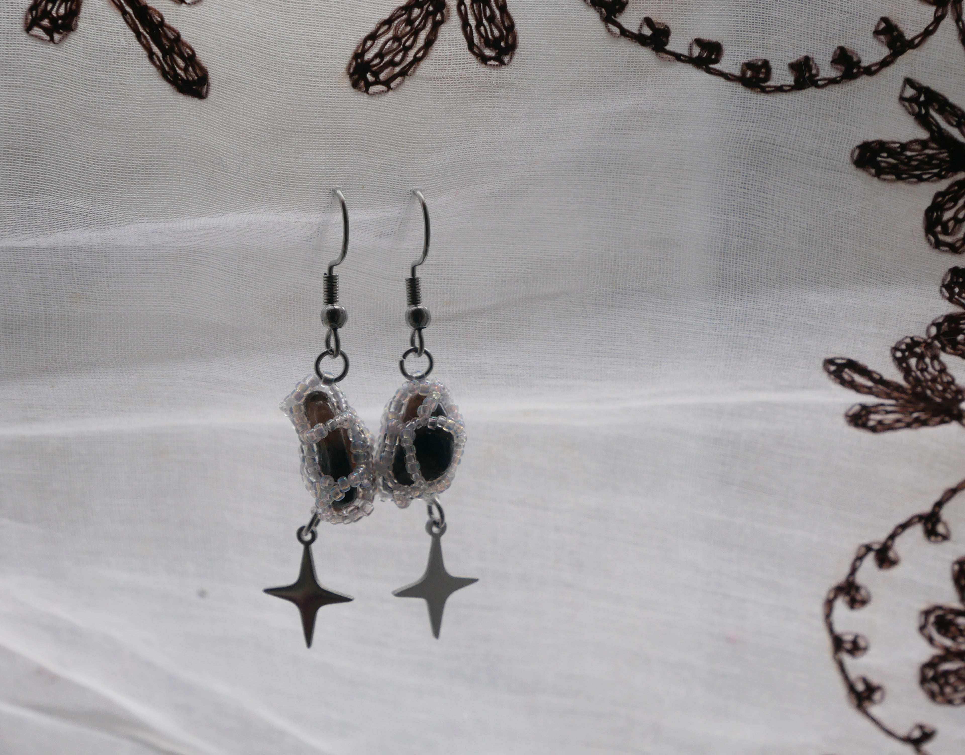 Circogonia étoilées