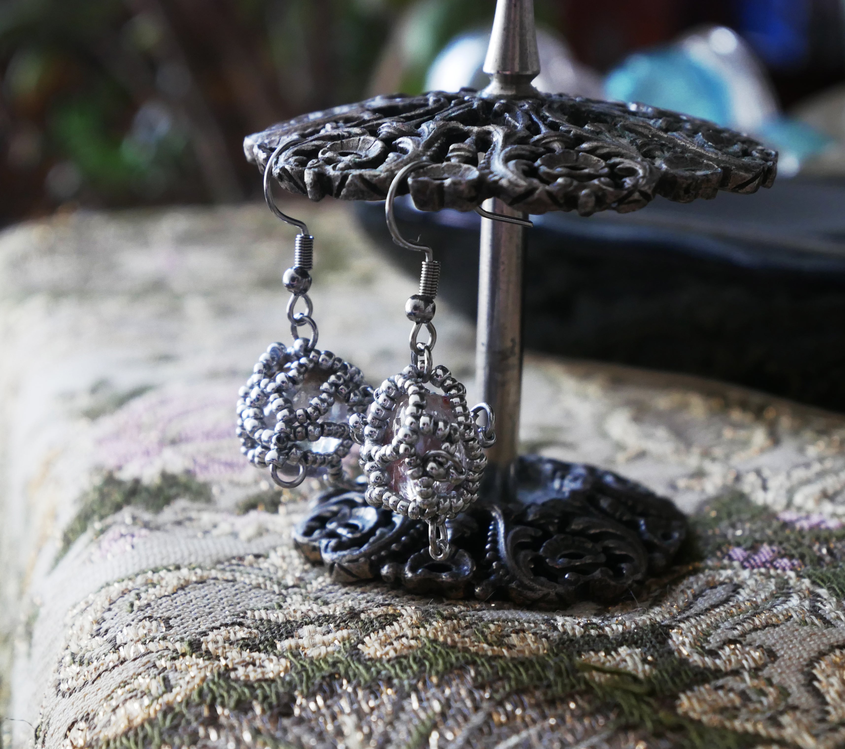 Circogonia à anneaux