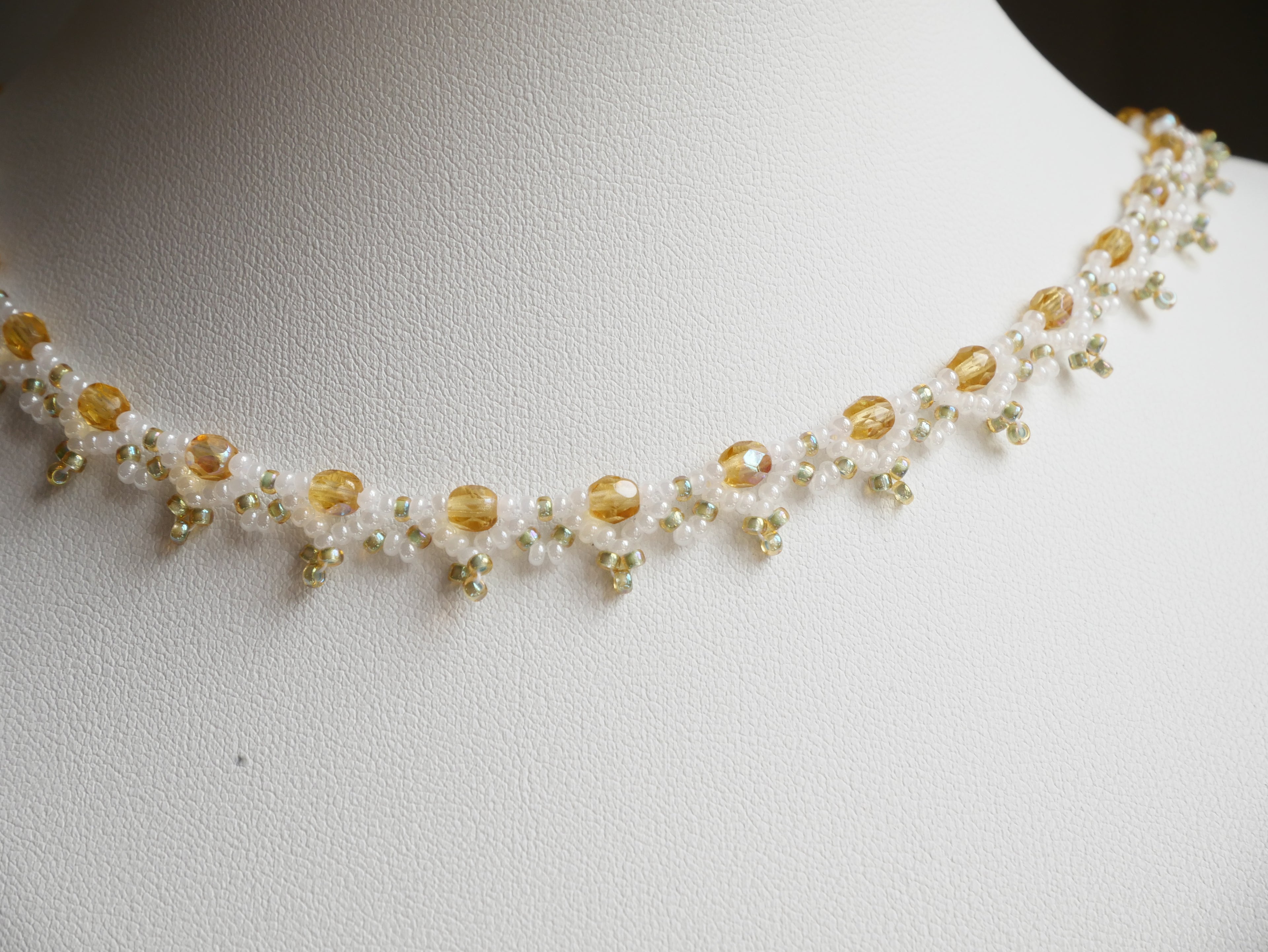 Epibulia spécimen n°1