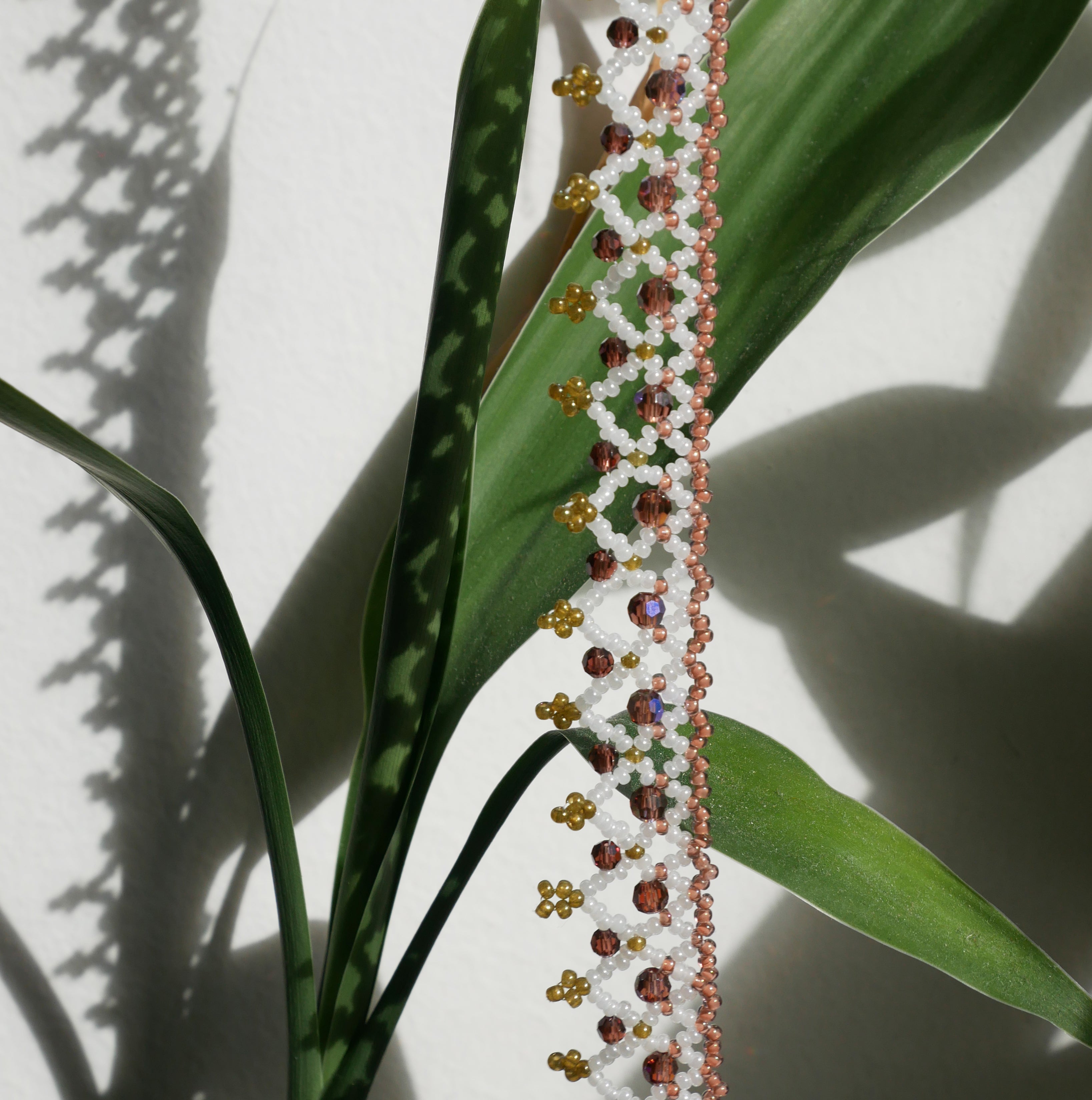 Aeolis spécimen n°2