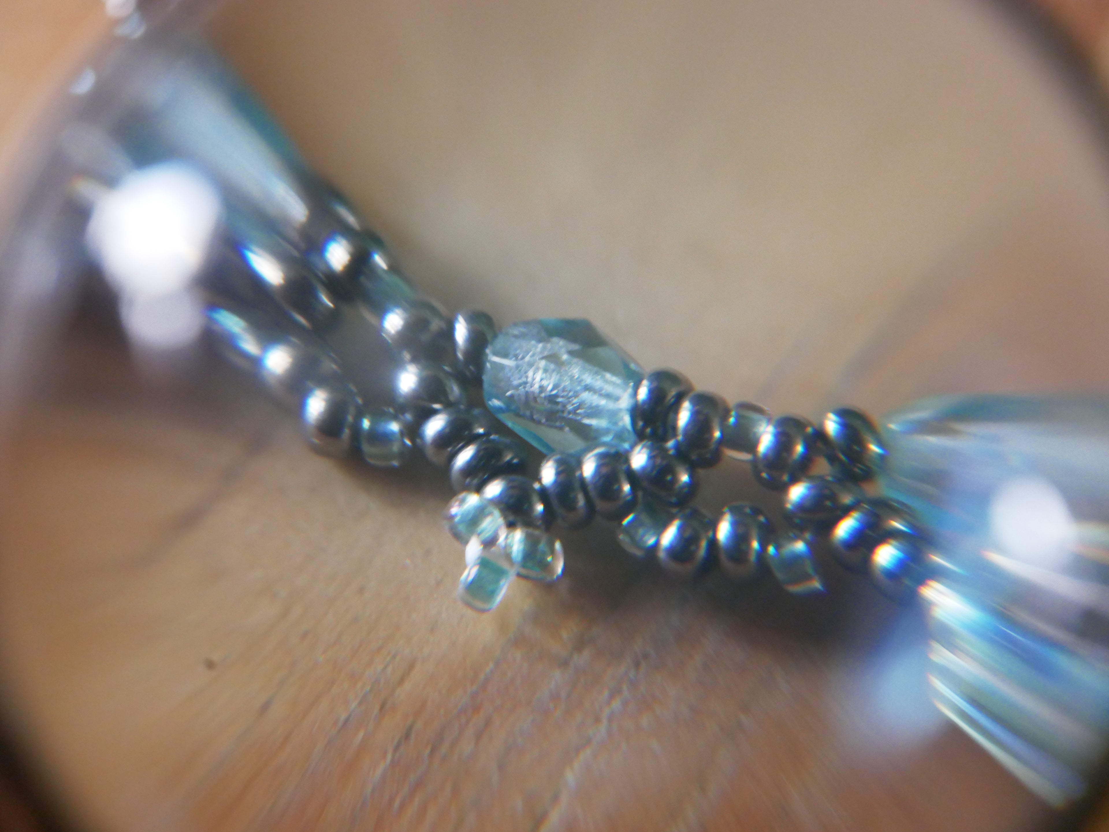 Epibulia spécimen n°2