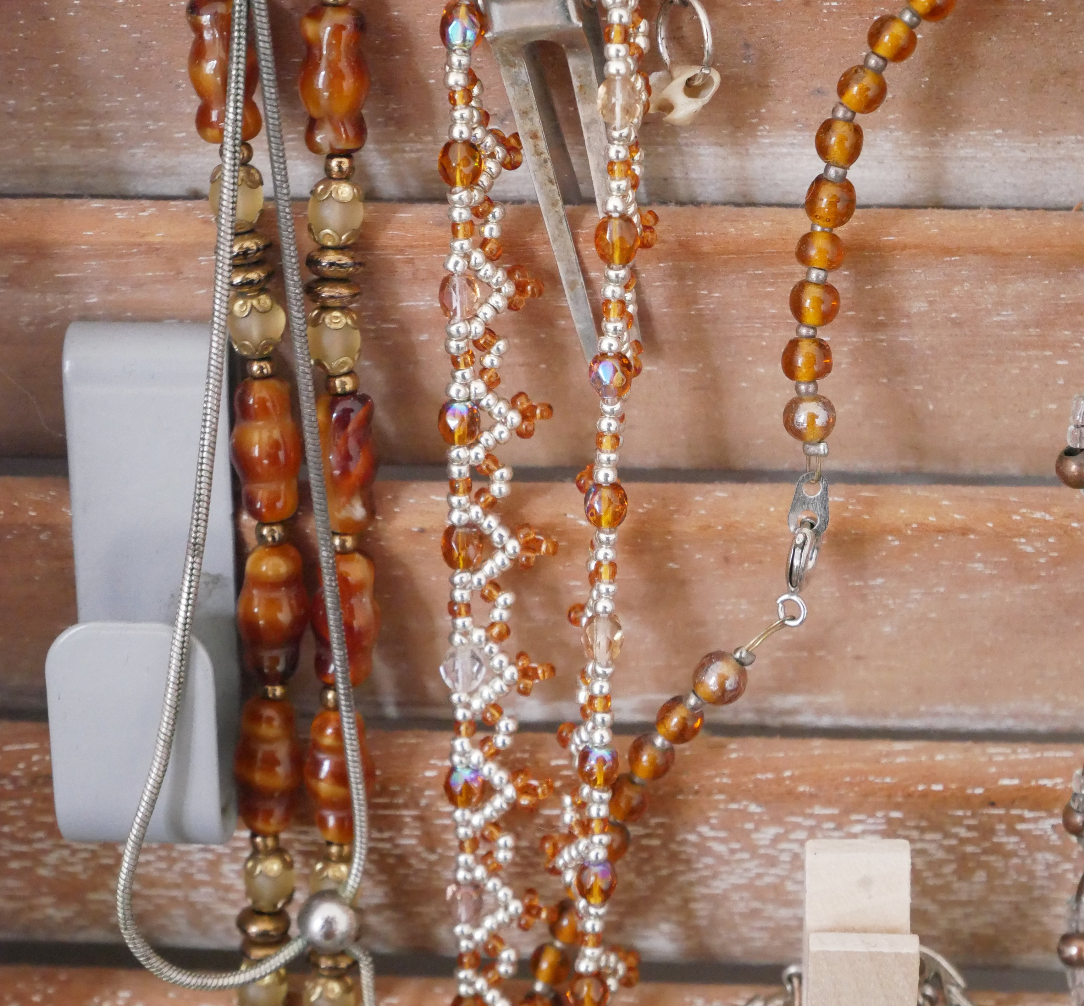 Epibulia spécimen n°3