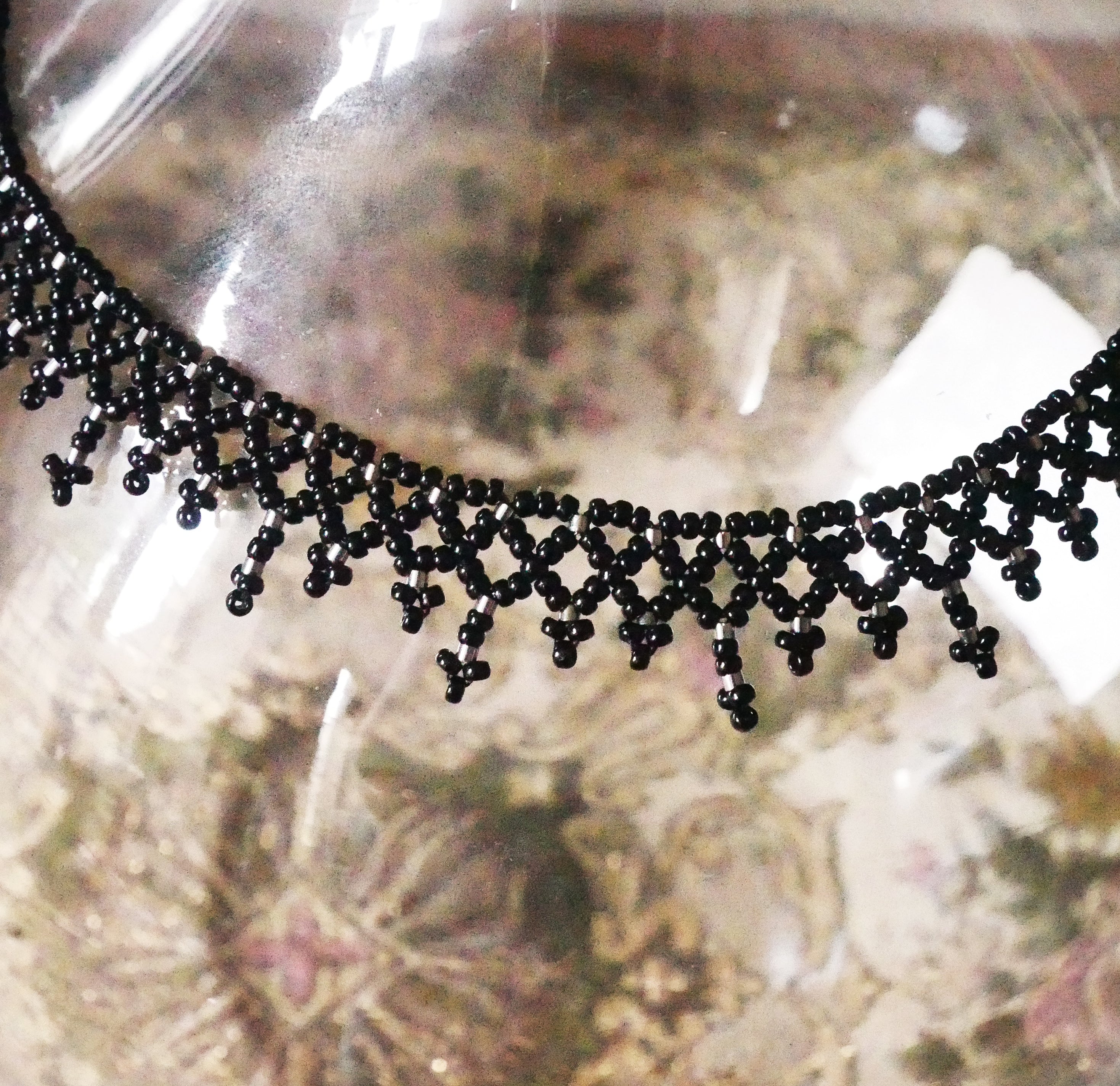 Siphonophore spécimen n°1