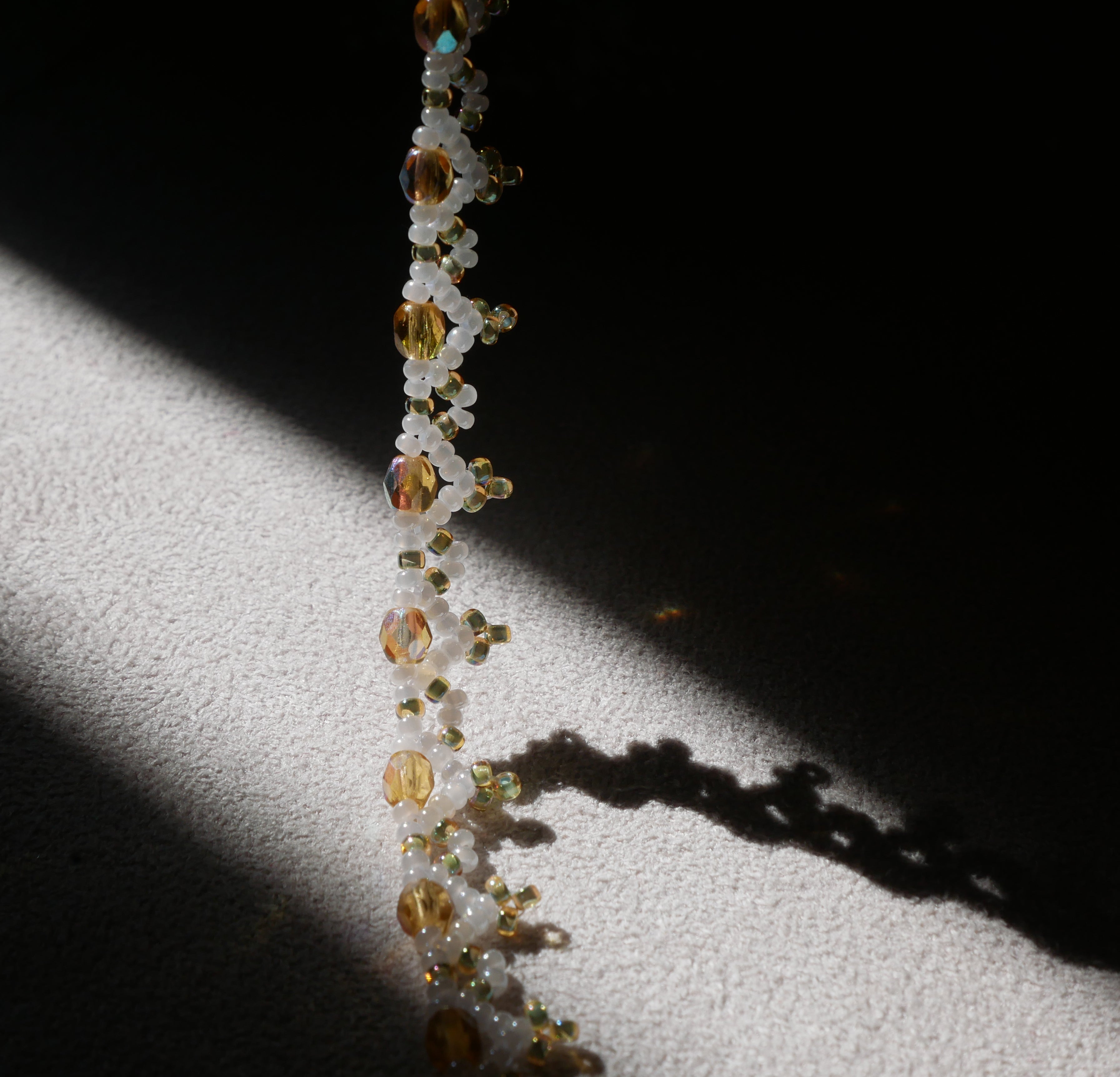 Epibulia spécimen n°1