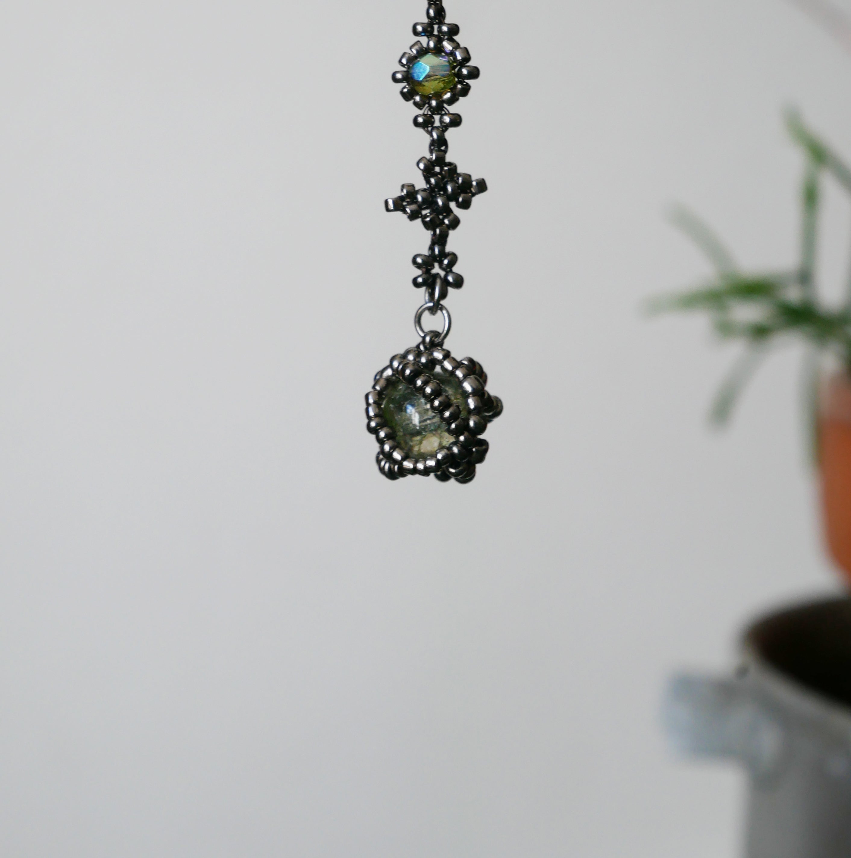 Leptospire spécimen n°2 • Variante Circogonia