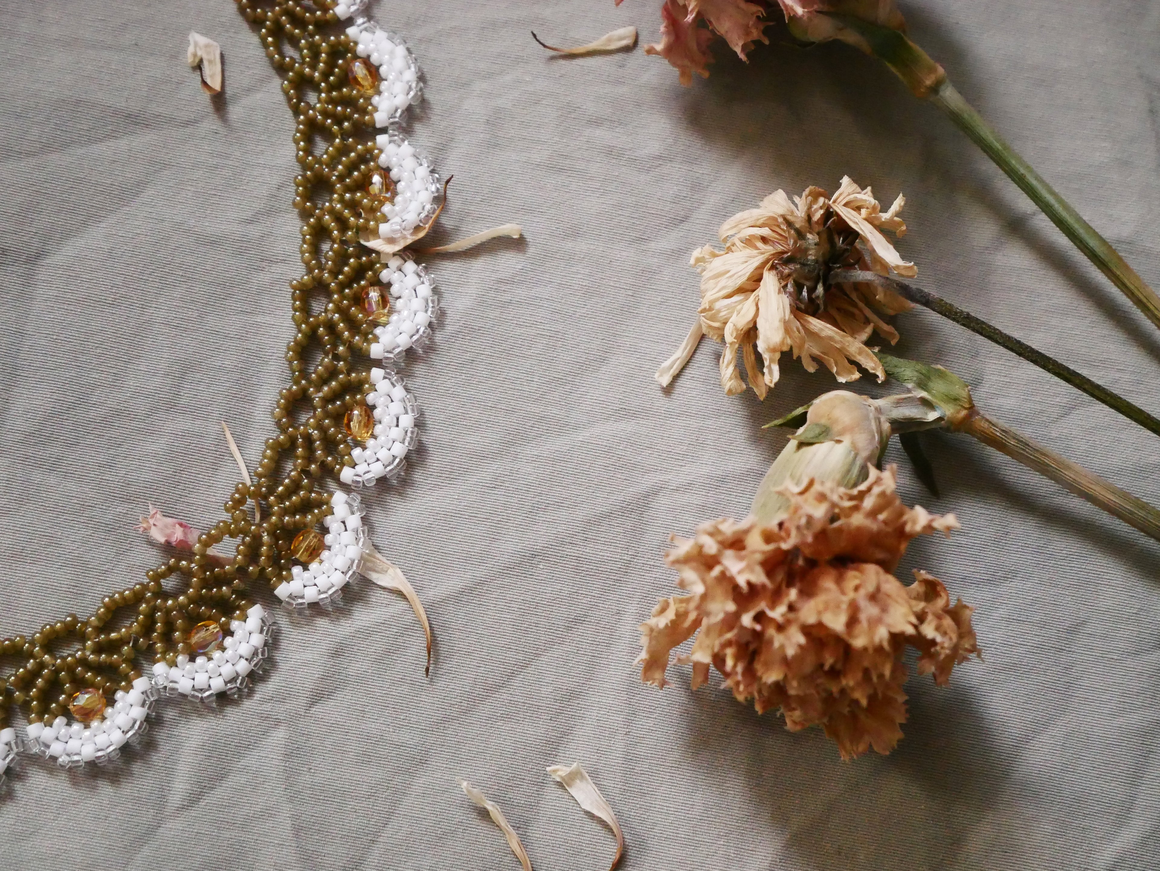 Nauphanta spécimen n°1 • Echelle 1