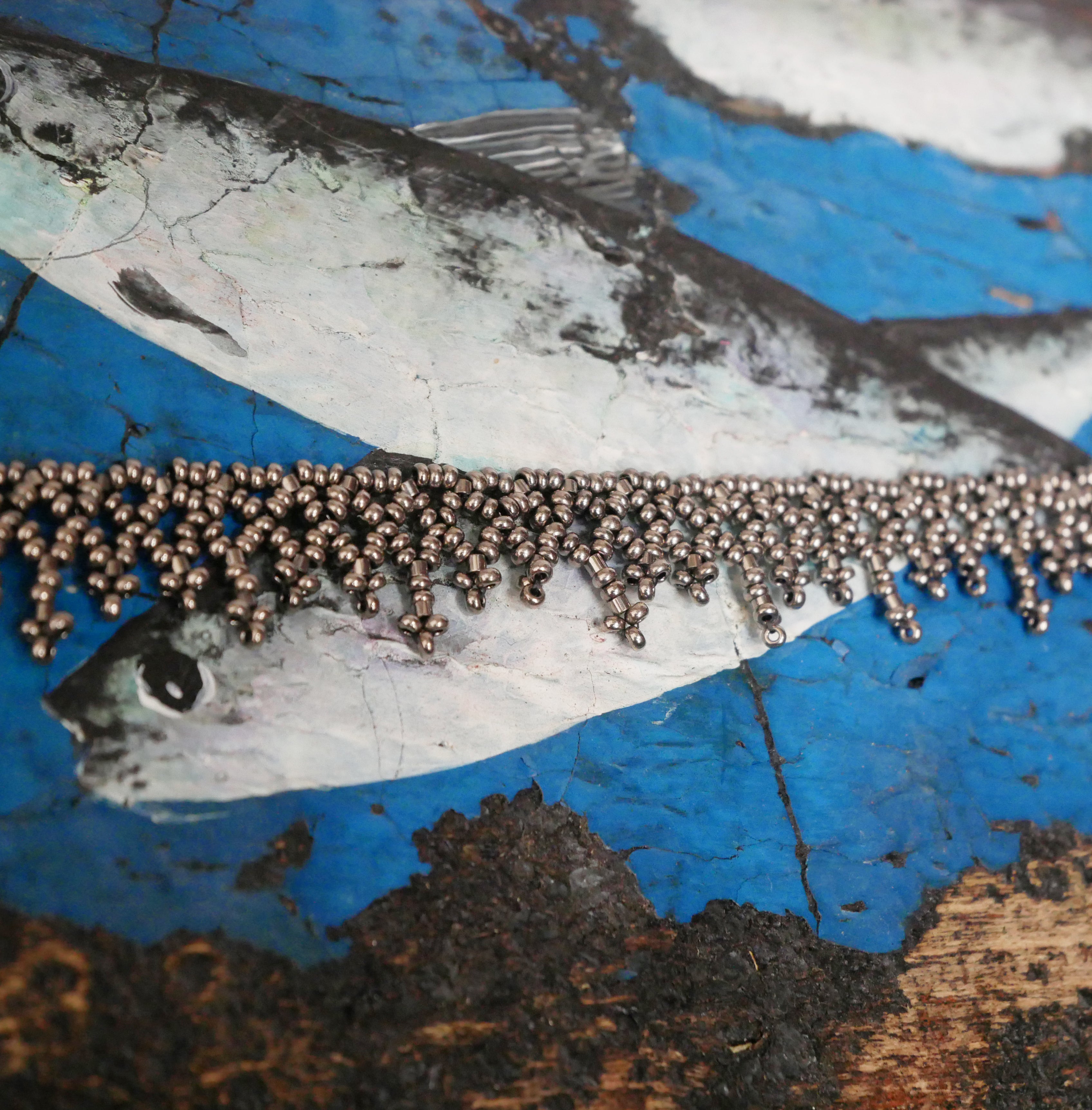 Siphonophore spécimen n°2