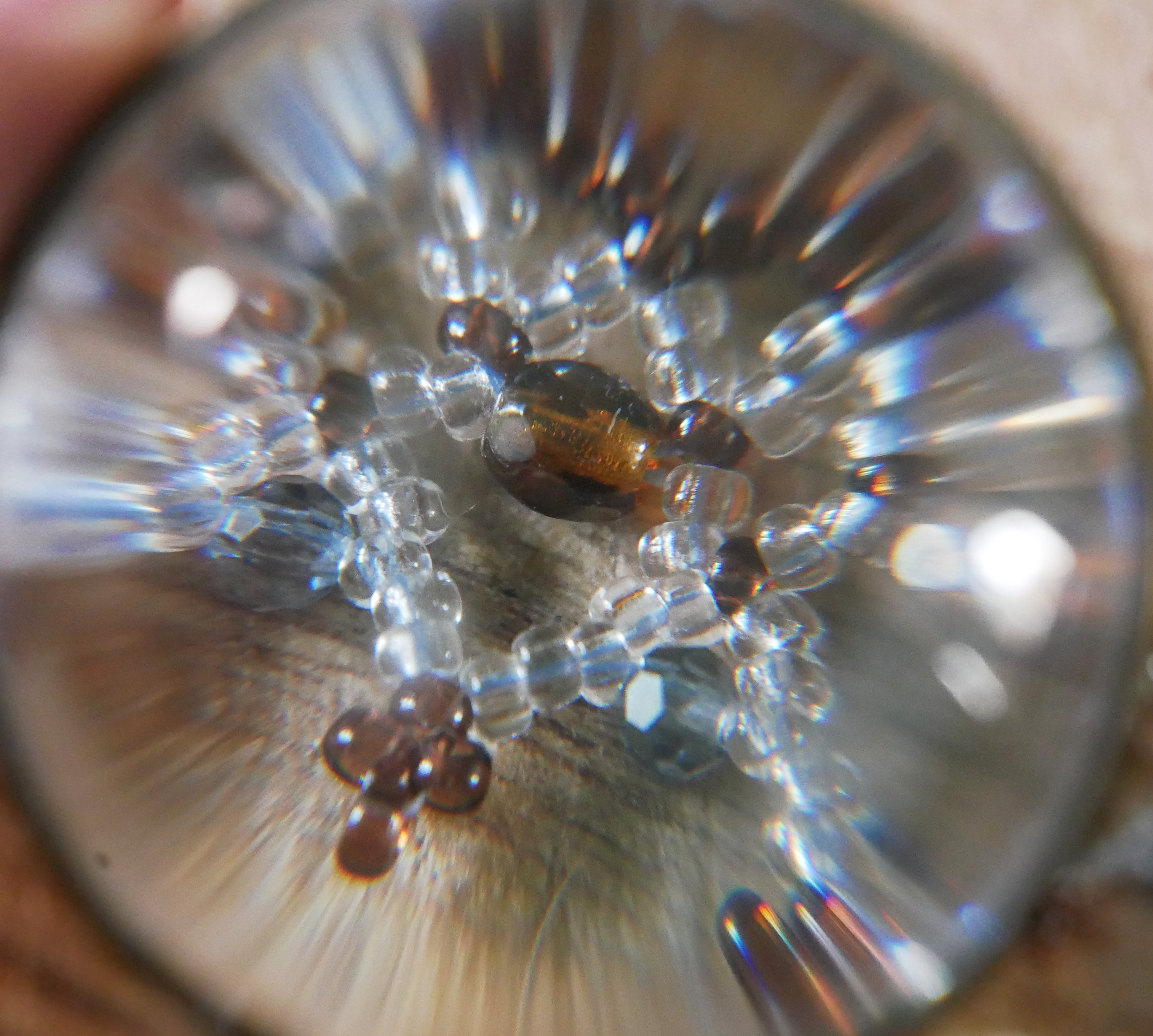 Aeolis spécimen n°1