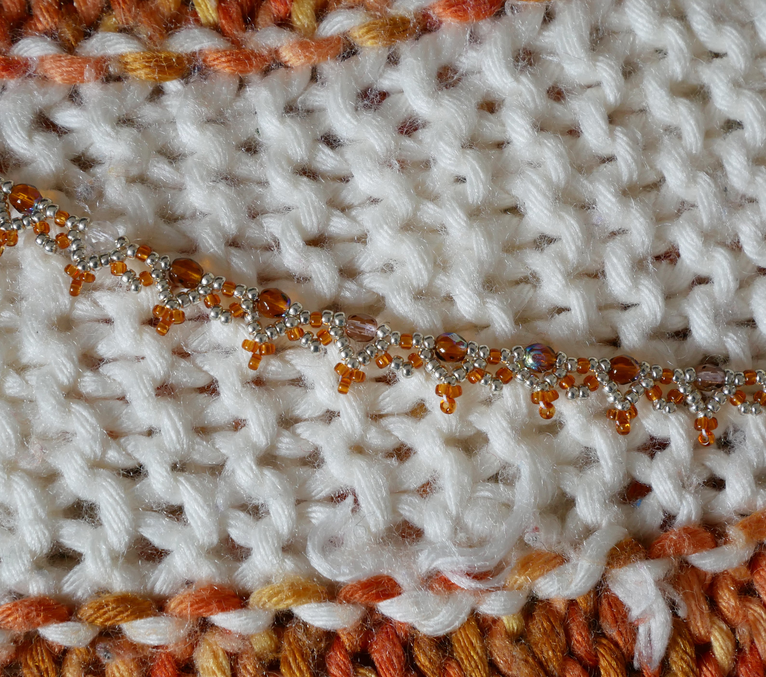 Epibulia spécimen n°3