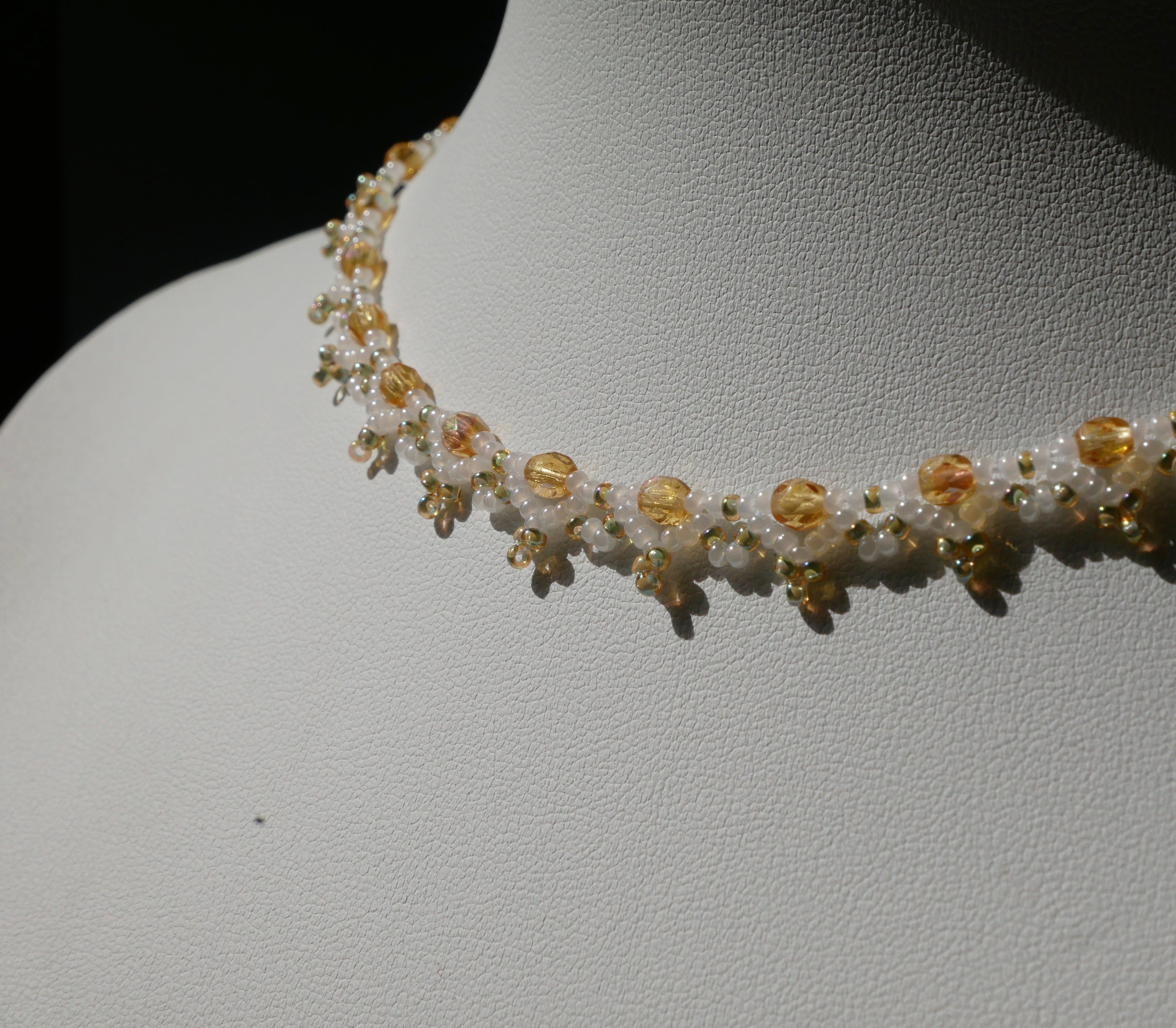 Epibulia spécimen n°1