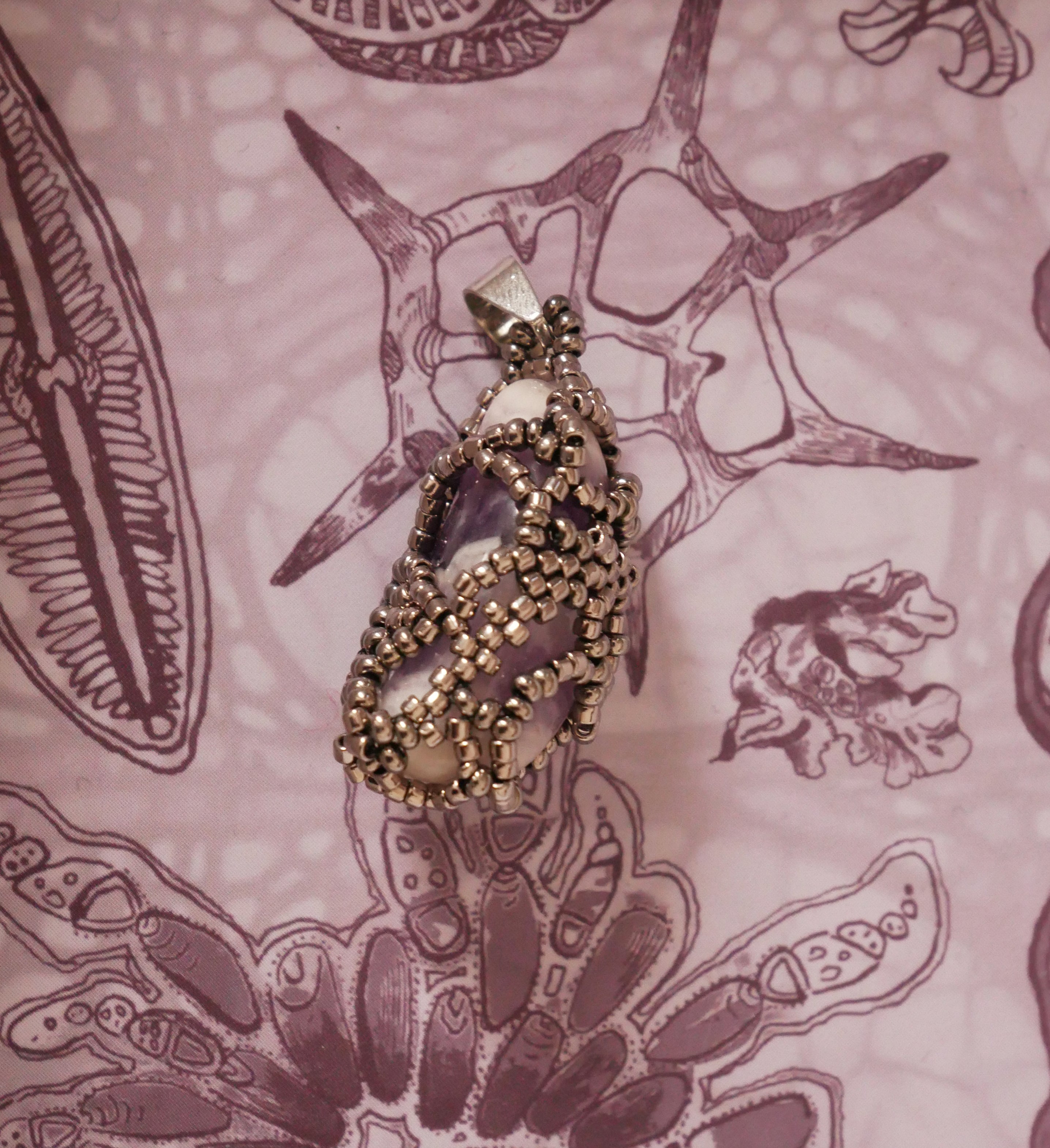 Circogonia améthyste