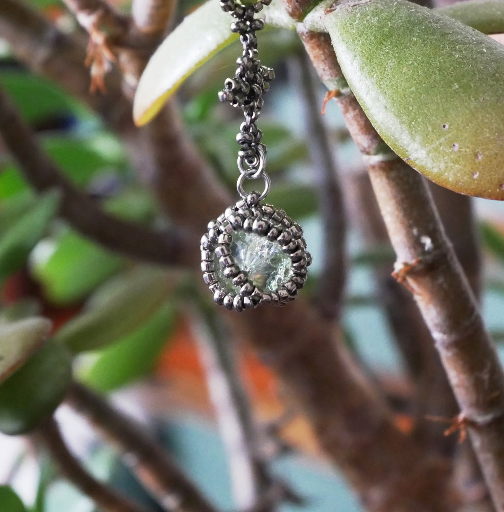 Leptospire spécimen n°2 • Variante Circogonia