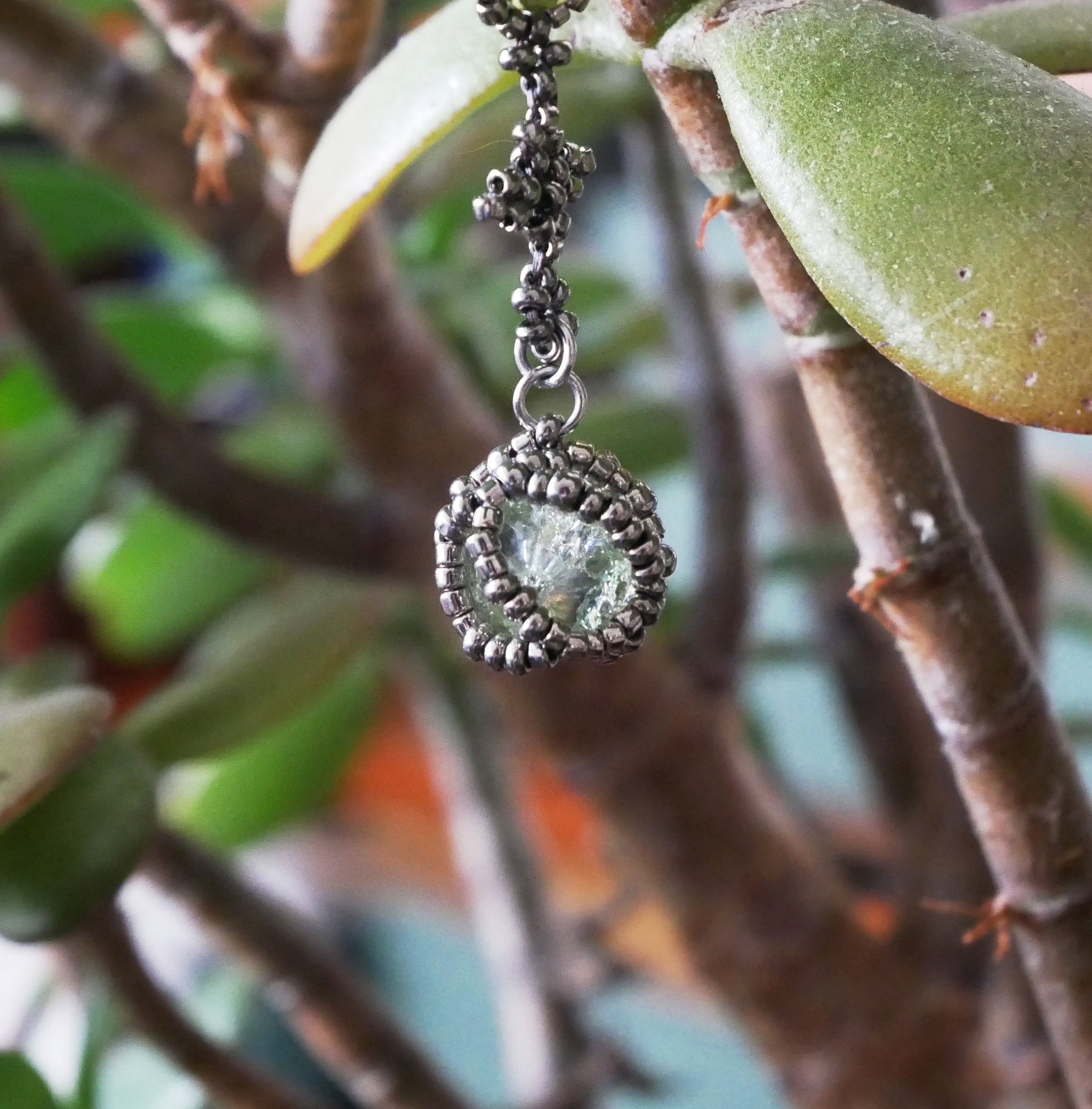 Leptospire spécimen n°2 • Variante Circogonia